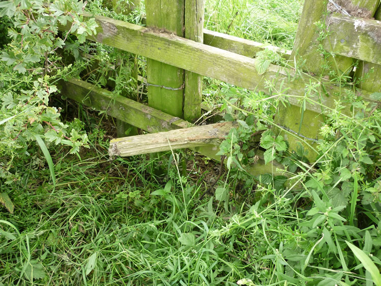 Photograph: 2009: Broken stile