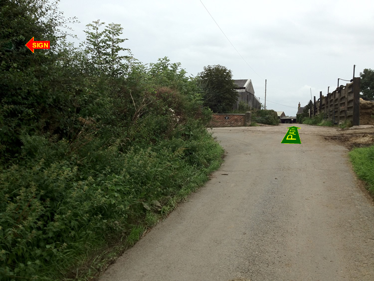 Photograph: Sign obscured and badly positioned